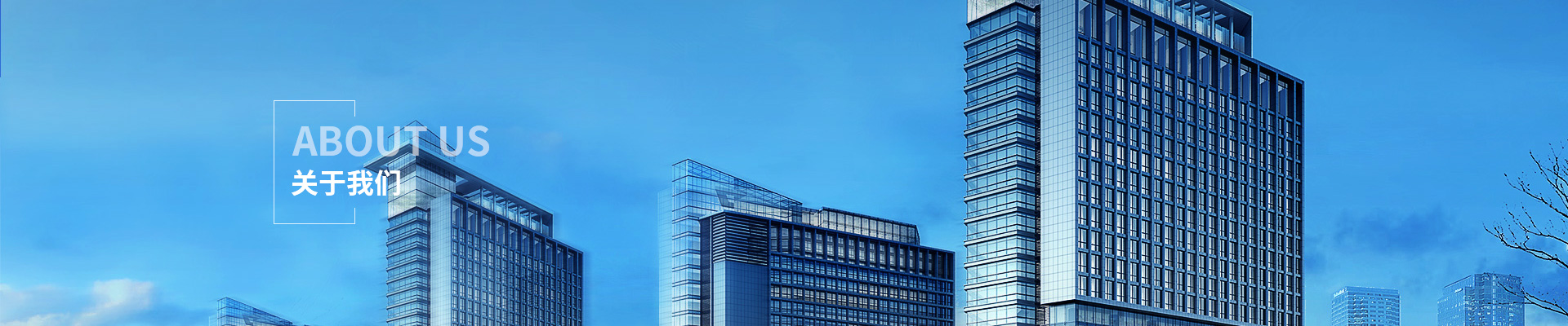 內(nèi)頁(yè)banner